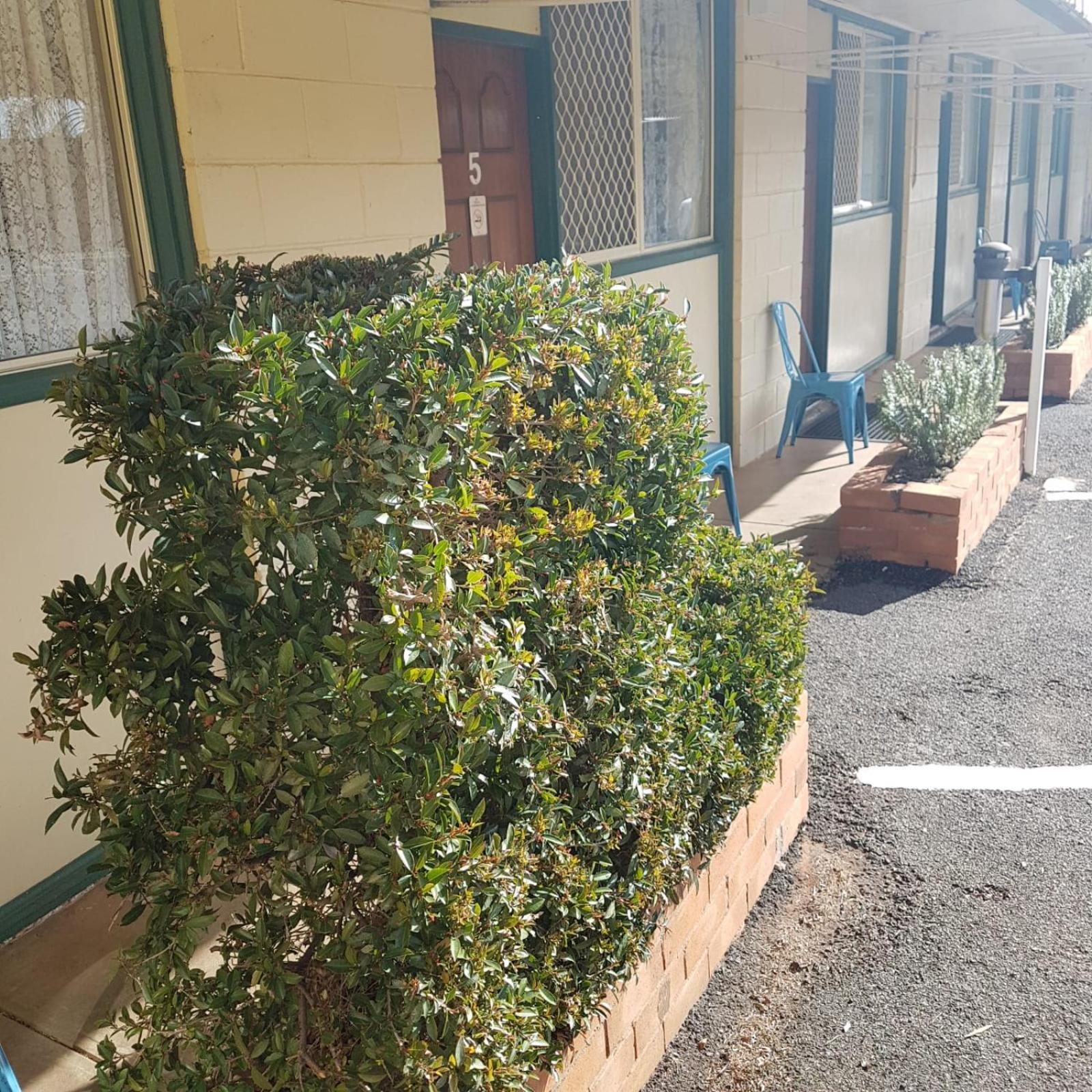 Golden Peak Motel Peakhill Peak Hill Экстерьер фото